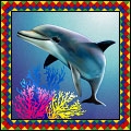 Symbol Dolphin